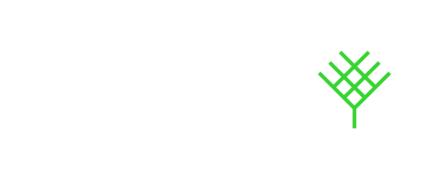 Grupo ORVE